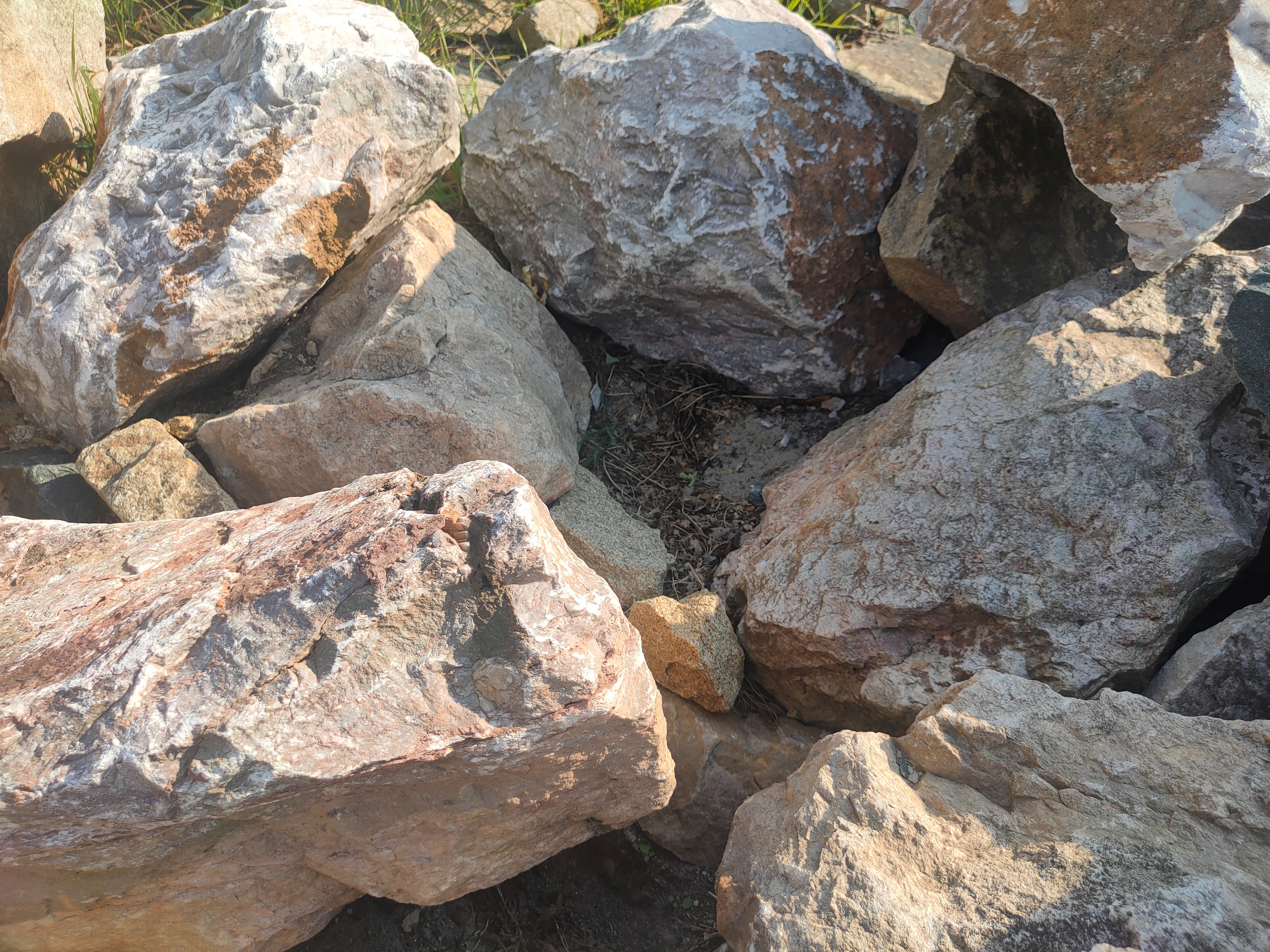 kamień wapienny różowy