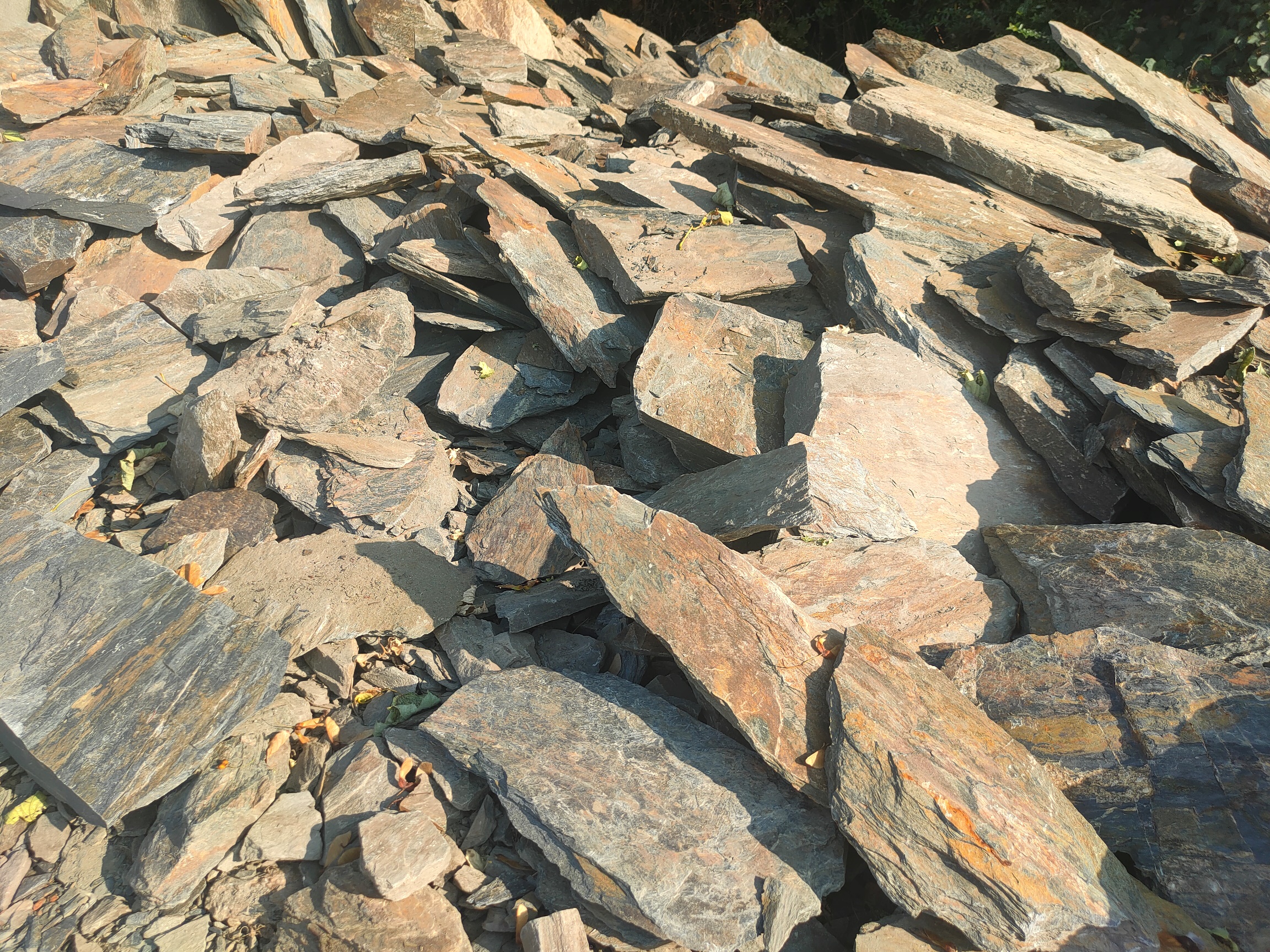 łupek szarogłazowy