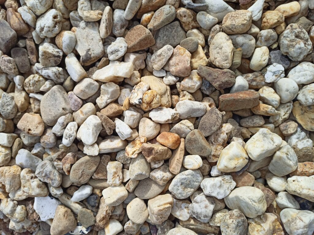 Otoczak żółty (16-32)